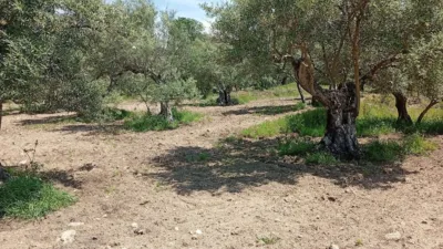 Rustic Finca in Villanueva de La Vera photo 38