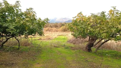 Rustic farm in Villanueva de La Vera photo 37