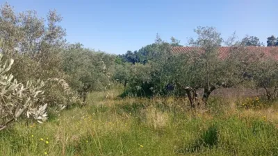 Chalet in Villanueva de La Vera photo 82