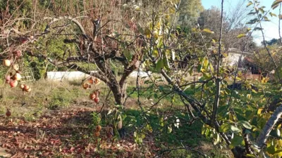 Rustic finca in Villanueva de La Vera photo 44