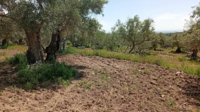 Rustic Finca in Villanueva de La Vera photo 21