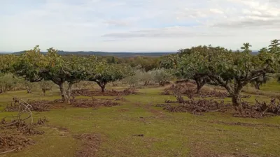 Rustic finca in Villanueva de La Vera photo 38
