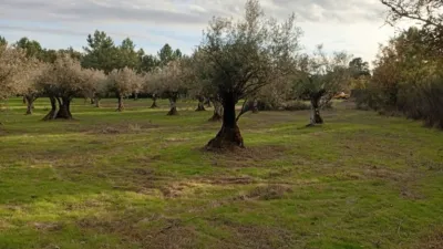 Rustic Finca in Villanueva de La Vera photo 7
