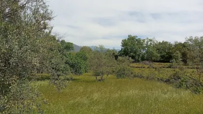 Rustic finca in Villanueva de La Vera photo 67