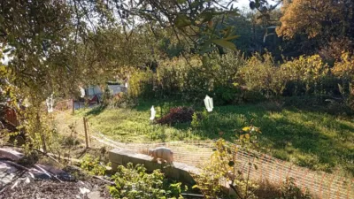 Rustic finca in Villanueva de La Vera photo 49