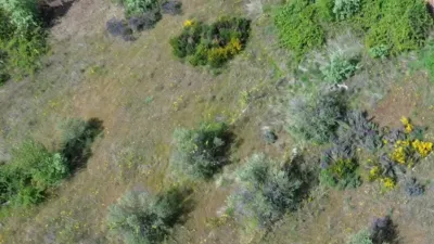 Rustic finca in Viandar de La Vera photo 8