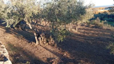 Rustic Finca in Villanueva de La Vera photo 10