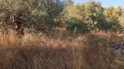 Rustic farm in Villanueva de La Vera photo 2