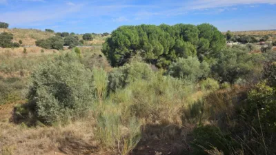Finca rústica en Camping Valdemorillo photo 4