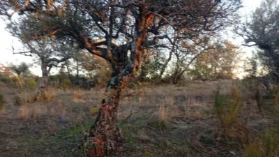 Rustic farm in Viandar de La Vera photo 15