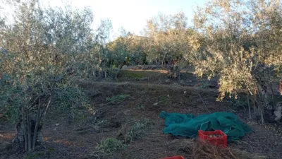 Rustic Finca in Villanueva de La Vera photo 36