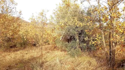Rustic farm in Viandar de La Vera photo 47