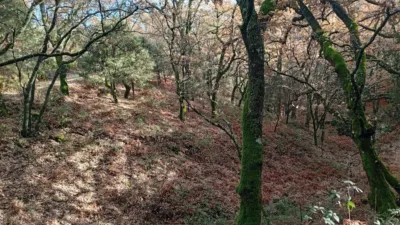 Rustic Finca in Villanueva de La Vera photo 25