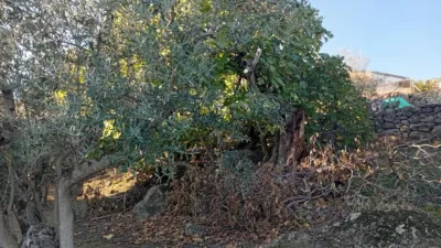 Rustic Finca in Villanueva de La Vera photo 69