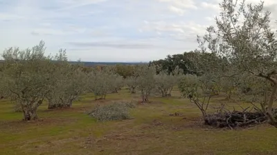 Rustic finca in Villanueva de La Vera photo 60