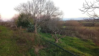 Rustic Finca in Losar de La Vera photo 76