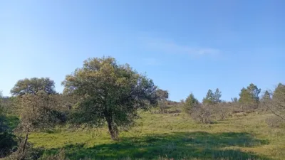 Rustic Finca in Villanueva de La Vera photo 5