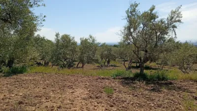 Rustic Finca in Villanueva de La Vera photo 16
