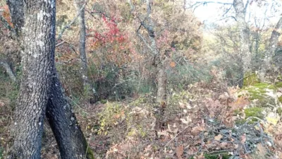 Rustic Finca in Viandar de La Vera photo 20