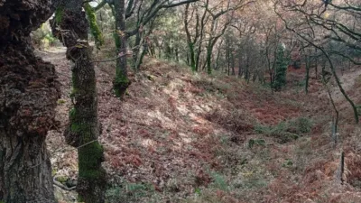 Rustic Finca in Villanueva de La Vera photo 5