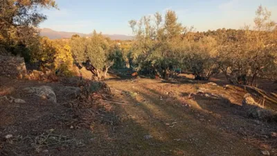 Rustic Finca in Villanueva de La Vera photo 13