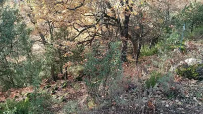 Rustic Finca in Villanueva de La Vera photo 14