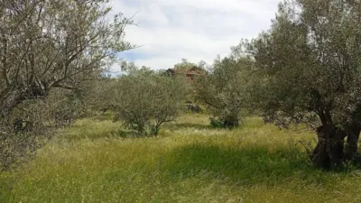 Rustic finca in Villanueva de La Vera photo 18