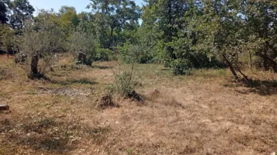 Rustic farm in Villanueva de La Vera photo 26