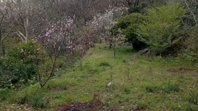 Rustic Finca in Valverde de La Vera photo 63