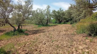 Rustic Finca in Villanueva de La Vera photo 12