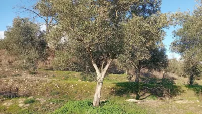 Rustic Finca in Losar de La Vera photo 18