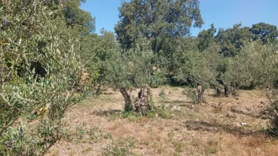 Rustic farm in Villanueva de La Vera photo 15