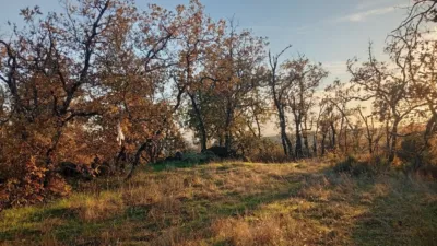 Rustic farm in Viandar de La Vera photo 20