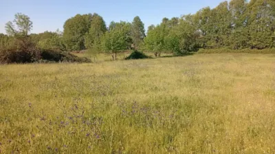 Rustic farm in Talaveruela de La Vera photo 64