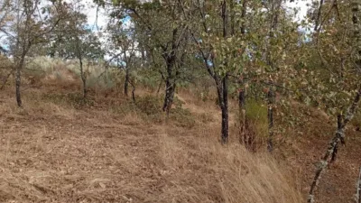 Rustic Finca in Villanueva de La Vera photo 23