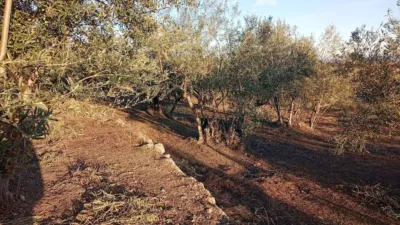 Rustic Finca in Villanueva de La Vera photo 56