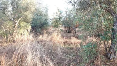 Rustic farm in Viandar de La Vera photo 13