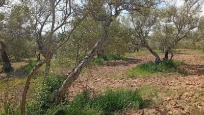 Rustic Finca in Villanueva de La Vera photo 13
