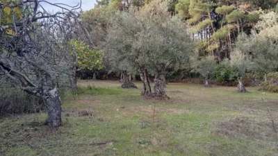 Rustic Finca in Villanueva de La Vera photo 20