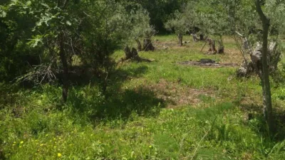 Rustic farm in Villanueva de La Vera photo 6