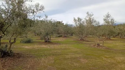 Rustic finca in Villanueva de La Vera photo 16