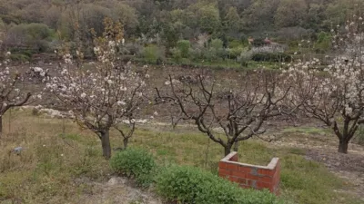 Rustic Finca in Villanueva de La Vera photo 50