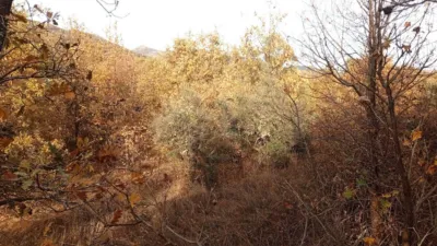 Rustic farm in Viandar de La Vera photo 32