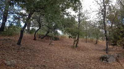 Rustic Finca in Villanueva de La Vera photo 113