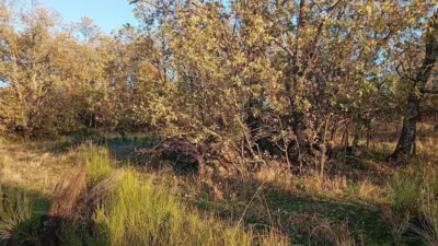 Rustic farm in Viandar de La Vera photo 38
