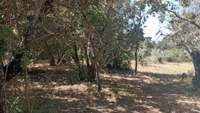 Rustic farm in Villanueva de La Vera photo 14