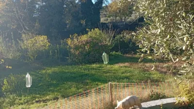 Rustic finca in Villanueva de La Vera photo 51