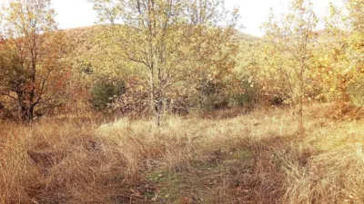 Rustic farm in Viandar de La Vera photo 48