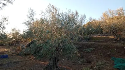 Rustic Finca in Villanueva de La Vera photo 38