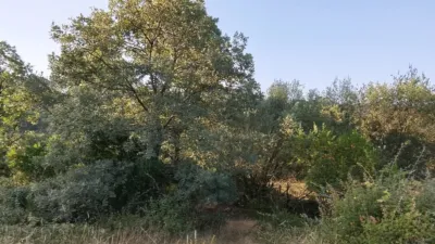 Rustic in Madrigal de La Vera photo 8